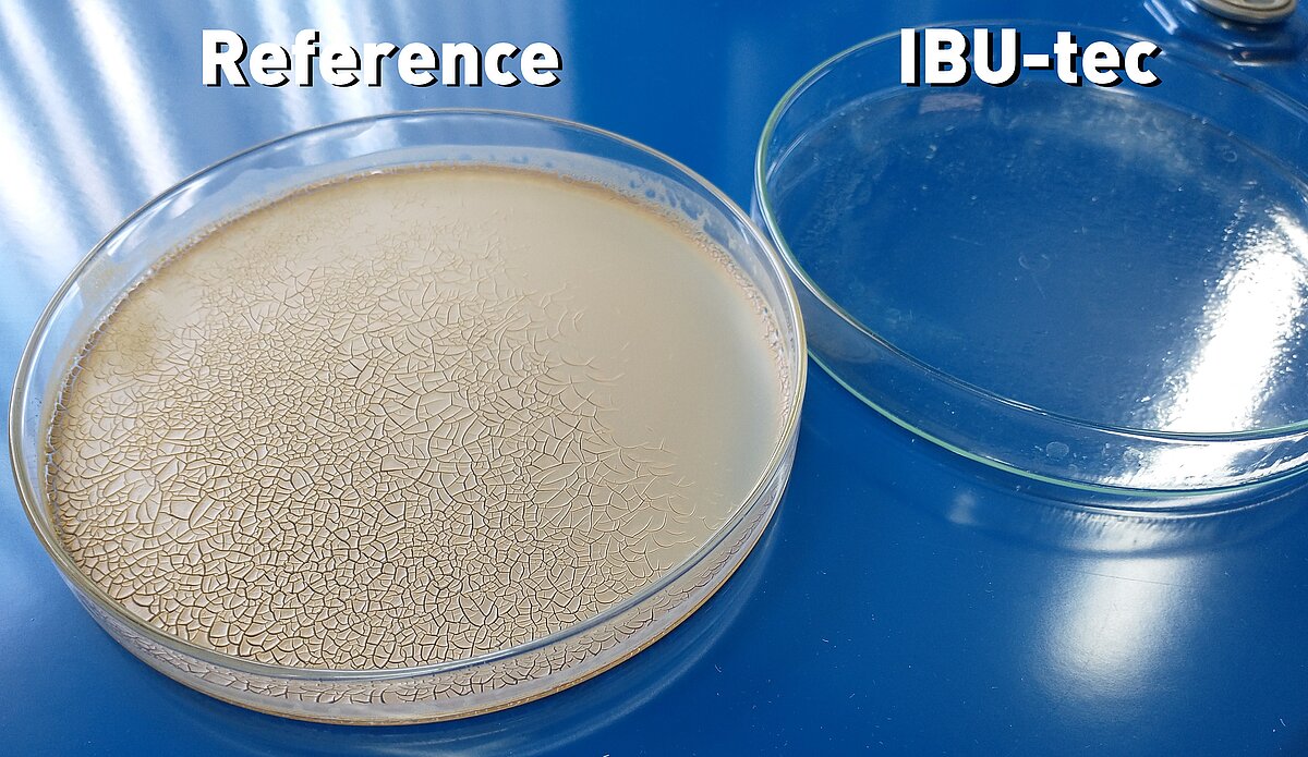 UV protection material ZnO or Zinc Oxide from IBU-tec comparison of transparency UV protection material ZnO or Zinc Oxide from IBU-tec comparison of transparency