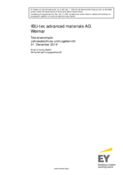 Annual Financial Statement IBU-tec advanced materials AG 2019