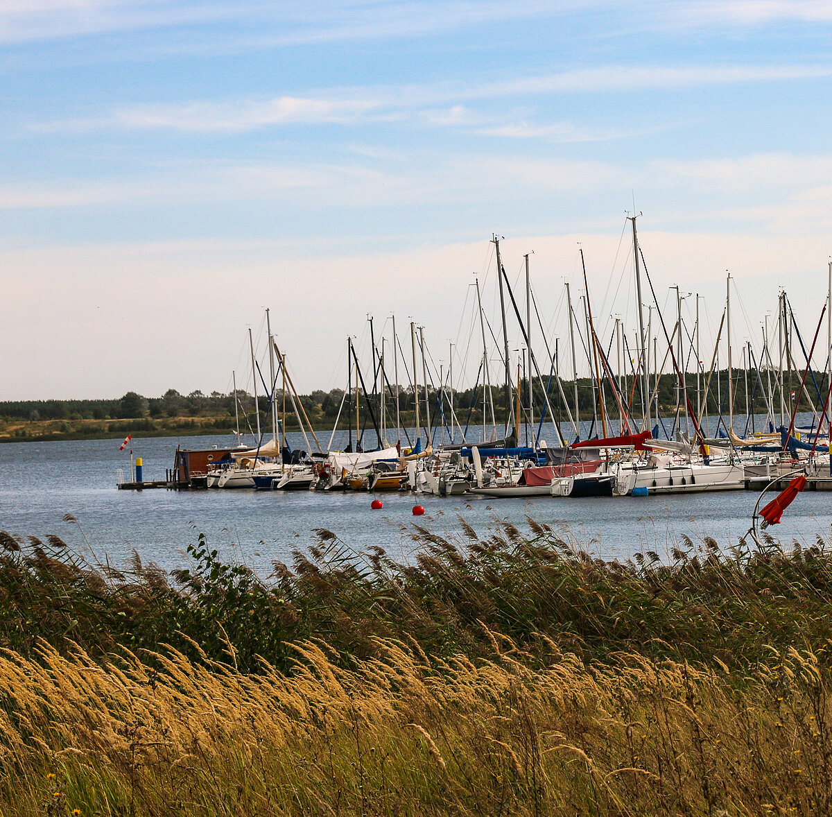 Sailboats at a pier on a lake near Bitterfeld-Wolfen Sailboats at a pier on a lake near Bitterfeld-Wolfen